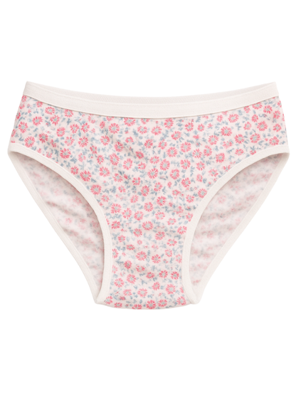 Mid Waist Hipster Panty With Outer Elastic - Dark Brown Floral Printed