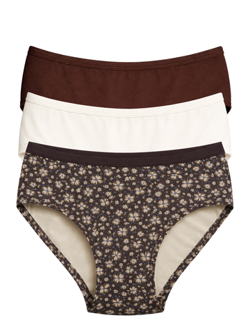 Mid Waist Hipster Panty With Outer Elastic Bundle Of 3 (Coffee|Cream|Brown)